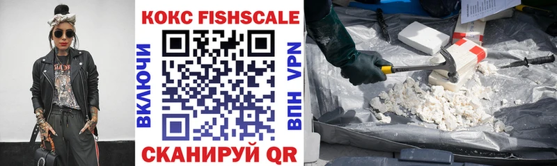 Купить закладки  Волгореченск  COCAIN FishScale 