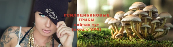 mdma Заволжье