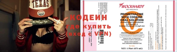 дурь Заводоуковск
