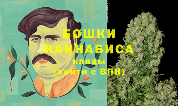 дурь Заводоуковск