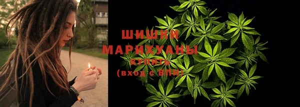 дурь Заводоуковск